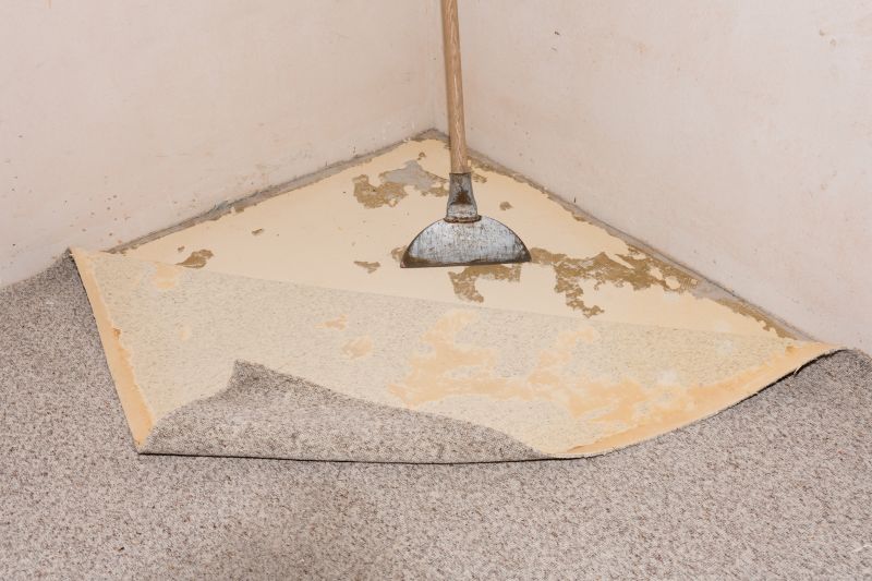 Carpet Removal Service in Charlotte, NC