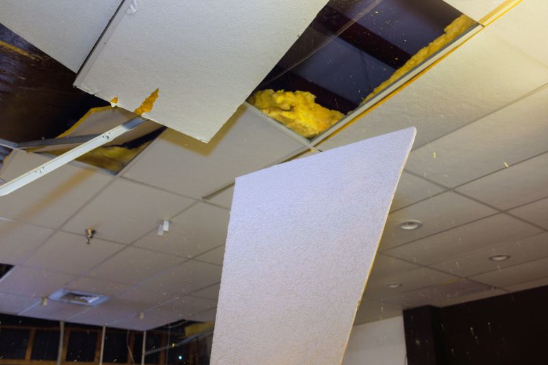 Ceiling Demolition Service in Frederick, MD