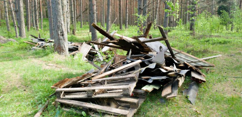 Debris Removal Service in Madison, WI