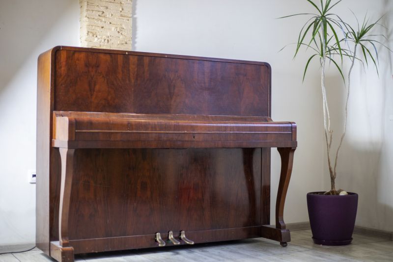 Budget-Smart Upgrades