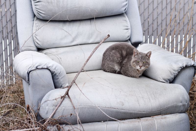 Recliner Removal in Auburn, CA